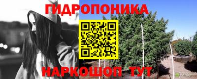 эйфоретик Туймазы
