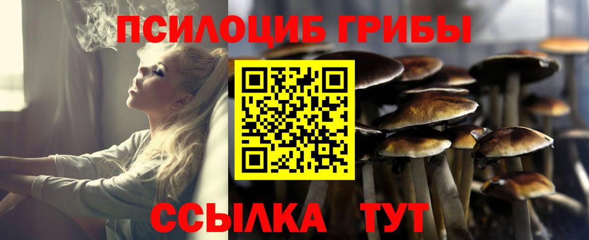 Псилоцибиновые грибы Magic Shrooms  Вход с VPN  продажа наркотиков  Мурманск 
